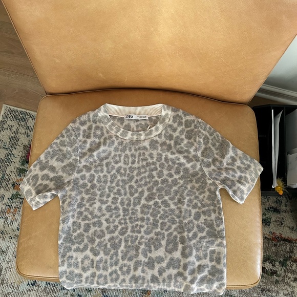 Zara leopard print round neck short sleeve sheer top. Brand new. Never worn. - Picture 1 of 4